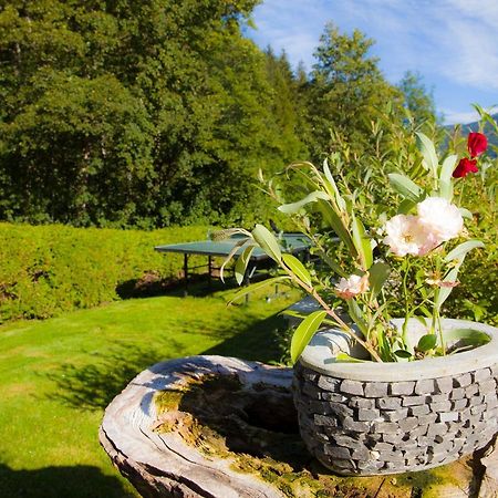 Appartement Heidi By Schladmingurlaub Ramsau am Dachstein Ngoại thất bức ảnh